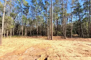 19991 Northfork Dr, Porter, TX 77365 - Photo 43