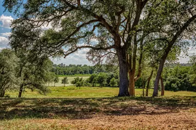 Tbd Bauer Road, Fayetteville, TX 78940 - Photo 1