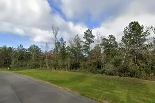 11631 Dawn Tree Ln, Willis, TX 77378 - Photo 5