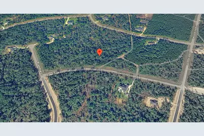 11631 Dawn Tree Lane, Willis, TX 77378 - Photo 9