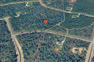 11631 Dawn Tree Ln, Willis, TX 77378 - Photo 9