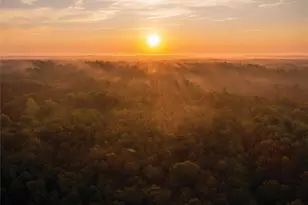 11631 Dawn Tree Ln, Willis, TX 77378 - Photo 17