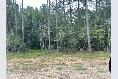 0000 Evergreen Lot 7 Fm 362-2 Road, Waller, TX 77484 - Photo 11