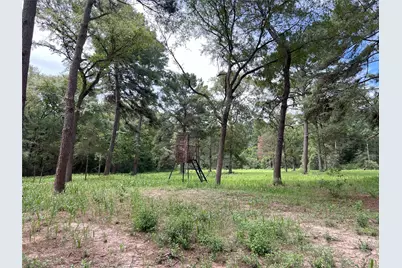 0000 Evergreen Lot 7 Fm 362-2 Road, Waller, TX 77484 - Photo 17