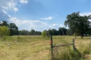 9157 Idaho Ln, Midway, TX 75852 - Photo 1