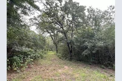 0000 Evergreen Lot 2 Fm 362 Road, Waller, TX 77484 - Photo 9