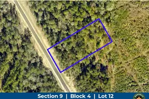 16072 Ridge Oak Rd, Willis, TX 77378 - Photo 1