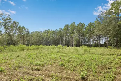 25171 Balmorhea Way, Montgomery, TX 77316 - Photo 5