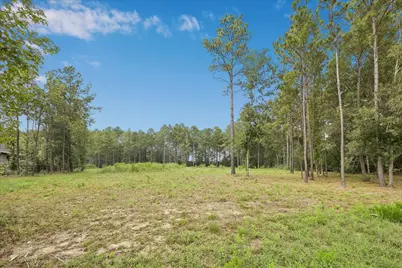 25171 Balmorhea Way, Montgomery, TX 77316 - Photo 3
