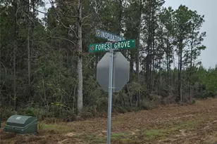 11514 Inspiration Dr, Willis, TX 77378 - Photo 7