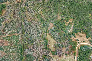 5589 Pr 1580, Centerville, TX 75833 - Photo 33