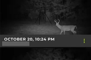 5589 Pr 1580, Centerville, TX 75833 - Photo 37