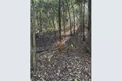 5589 Pr 1580, Centerville, TX 75833 - Photo 9