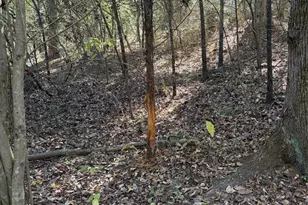 5589 Pr 1580, Centerville, TX 75833 - Photo 9