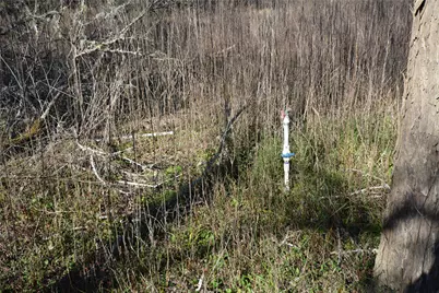 731 Cv Lakeside Drive, Coldspring, TX 77331 - Photo 19