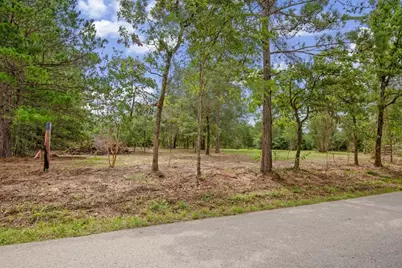 Tbd Lot 2 County Road 302, Navasota, TX 77868 - Photo 5