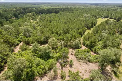 Tbd Lot 2 County Road 302, Navasota, TX 77868 - Photo 43