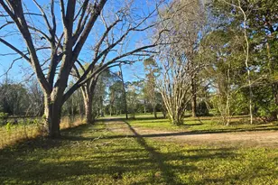 1132 Liberty Ave, Livingston, TX 77351 - Photo 23