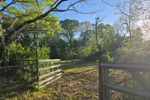 1132 Liberty Ave, Livingston, TX 77351 - Photo 19