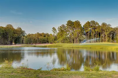 22318 Junction Peak Drive, Porter Heights, TX 77365 - Photo 19