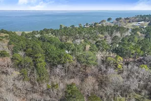 243 Silver Hickory Dr, Coldspring, TX 77331 - Photo 25