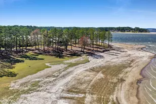 331 Shoreline Dr, Brookeland, TX 75931 - Photo 29