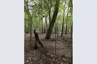 50G Jock Street, Livingston, TX 77351 - Photo 7