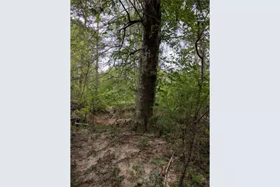 50G Jock Street, Livingston, TX 77351 - Photo 5