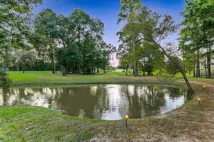 17303 Sunset Ranch Dr, Montgomery, TX 77316 - Photo 41