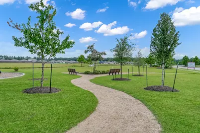 20874 Olive Leaf Street, New Caney, TX 77357 - Photo 27