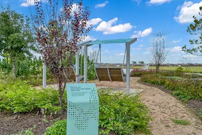 20874 Olive Leaf Street, New Caney, TX 77357 - Photo 33