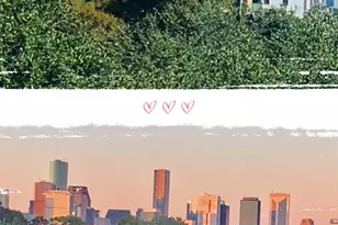 2334 Camden Dr, Houston, TX 77021 - Photo 41