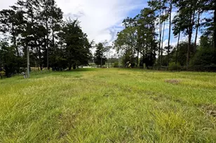 Lot 31 32 Finch Ln, Houston, TX 77336 - Photo 3