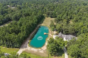 4034 Honea Egypt Rd, Montgomery, TX 77316 - Photo 45