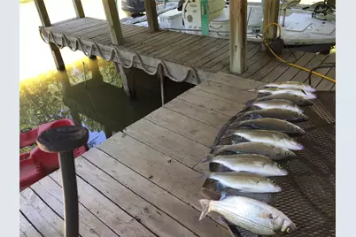 128 W Village Cove Loop, Livingston, TX 77351 - Photo 5