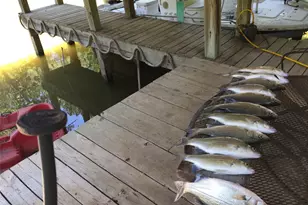 128 W Village Cove Loop, Livingston, TX 77351 - Photo 5