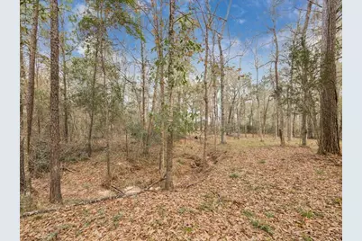 125 Skipper Jack, Montgomery, TX 77316 - Photo 11