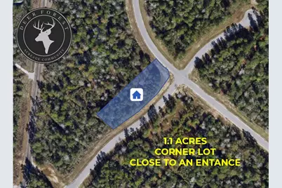 127 Gypsum Road, New Waverly, TX 77358 - Photo 1