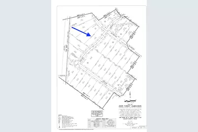 127 Gypsum Road, New Waverly, TX 77358 - Photo 3