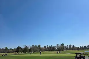 7715 Firethorne Creek Ct, Spring, TX 77389 - Photo 49