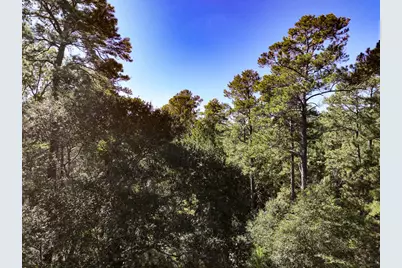 1 Fm 350, Livingston, TX 77351 - Photo 19