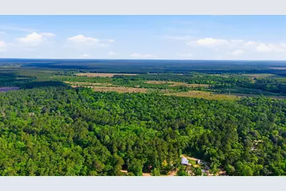 164 Road 2699, Cleveland, TX 77327 - Photo 13