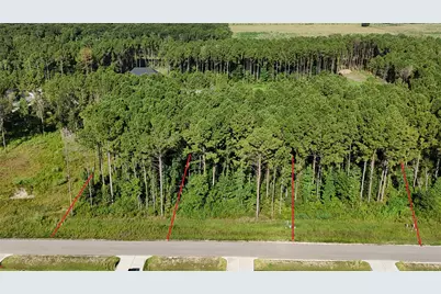 3169 Road 66125, Dayton, TX 77535 - Photo 11