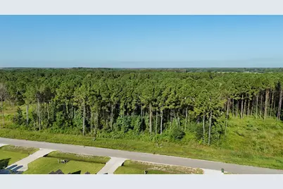 3169 Road 66125, Dayton, TX 77535 - Photo 7