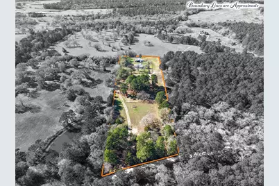 10713 County Road 446, Navasota, TX 77868 - Photo 21