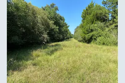 6115 S Highway 35, Alvin, TX 77511 - Photo 19