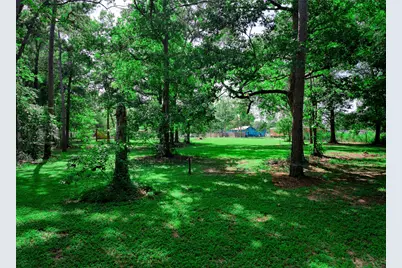 2373 Crockett Martin Road, Conroe, TX 77306 - Photo 33