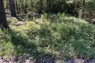 1314 Hamblen Rd, Houston, TX 77339 - Photo 5