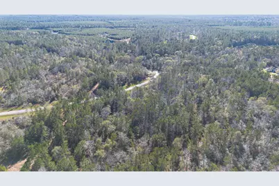 11623 Dawn Tree Lane, Willis, TX 77378 - Photo 19