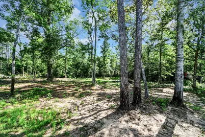 11779 Oakwood Ranch Drive, Willis, TX 77378 - Photo 29